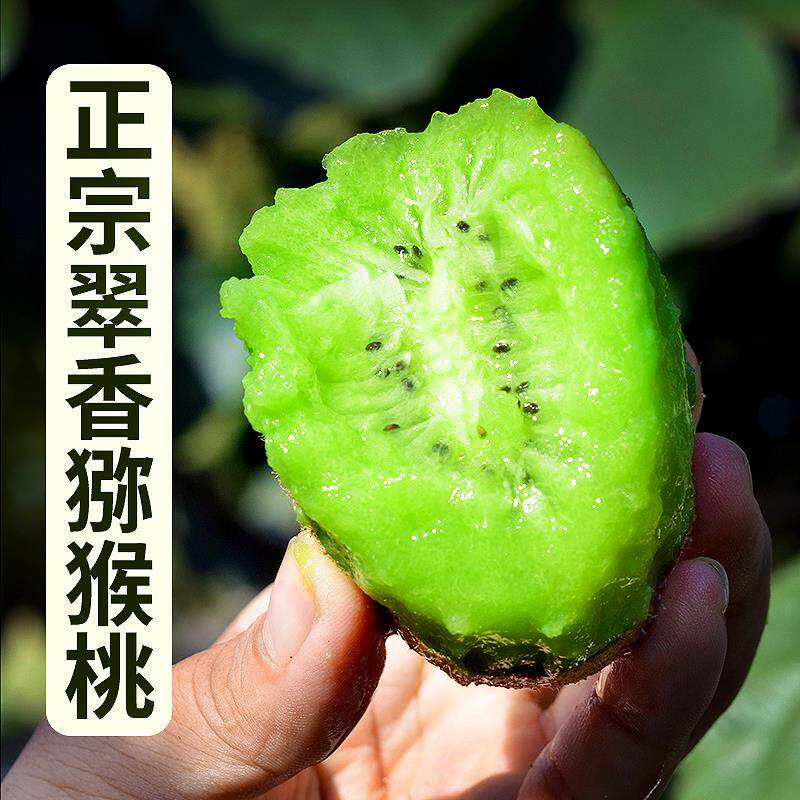 陕西翠香猕猴桃，新鲜绿心奇异果，当季5斤装