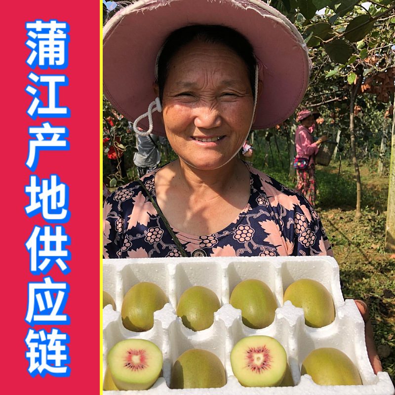 四川蒲江红心猕猴桃 应季奇异果