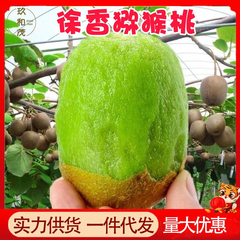 陕西徐香猕猴桃，绿心奇异果，新鲜当季水果