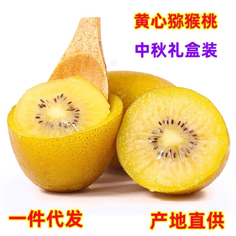 四川蒲江黄心猕猴桃（奇异果）