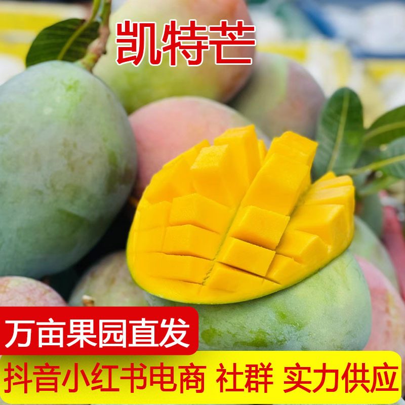攀枝花凯特芒新鲜芒果