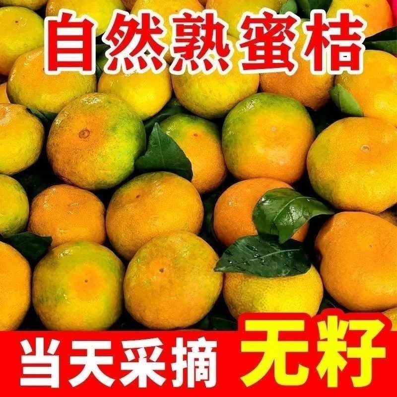 新鲜蜜橘，薄皮无核，当季水果