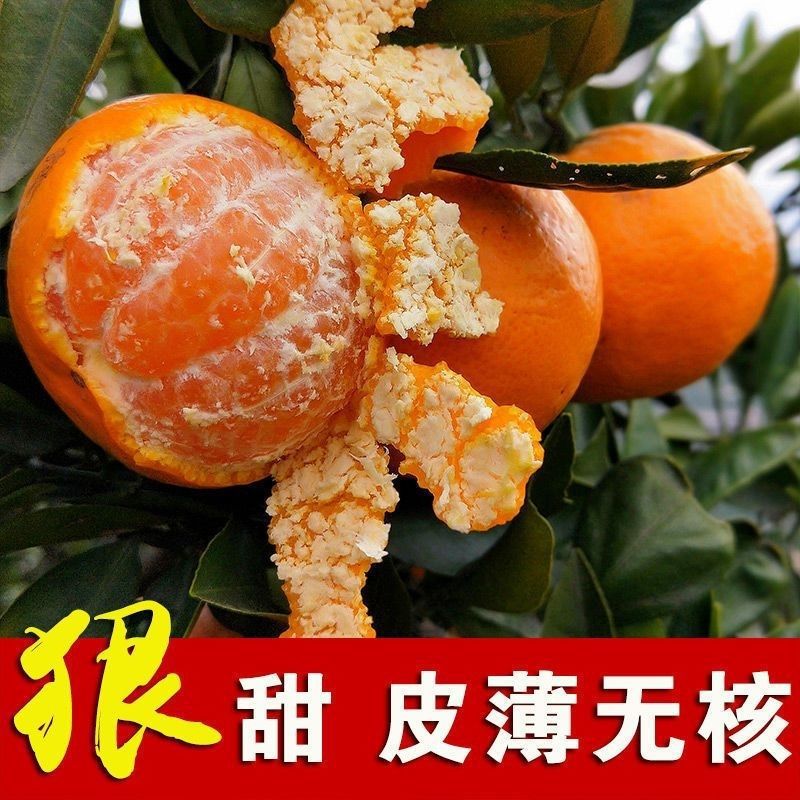 宜昌蜜橘新鲜水果5斤当季现摘青黄皮蜜桔无籽桔子早熟橘子整箱