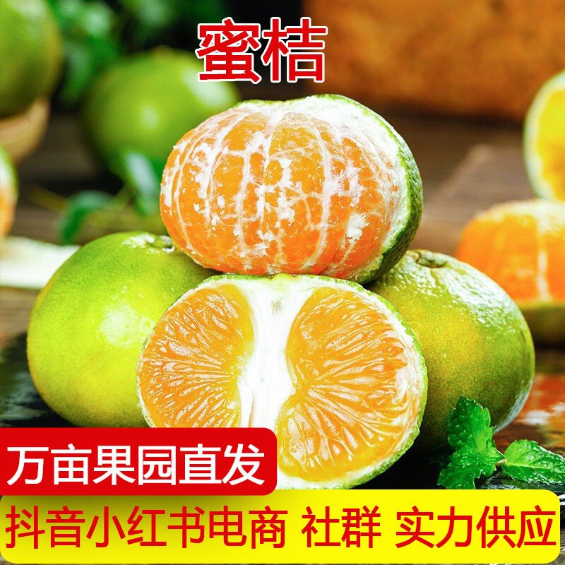青皮无籽蜜橘酸甜新鲜应季水果