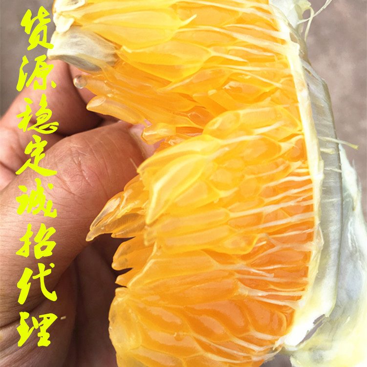 四川眉山现摘青见橘子、耙耙柑、不知火新鲜水果 8斤