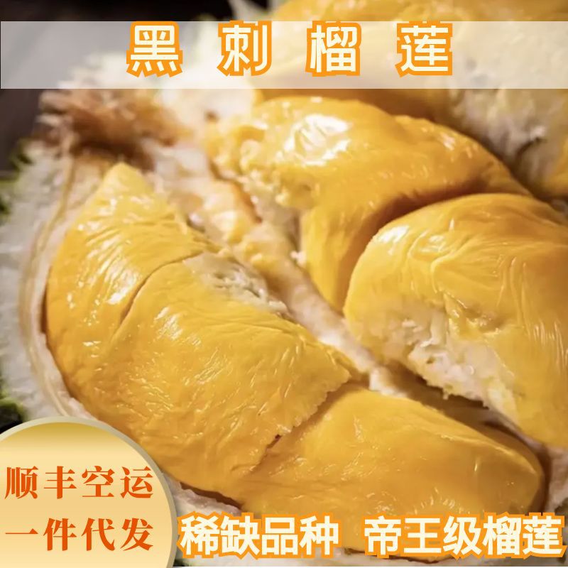 马来西亚黑刺榴莲 D200 带壳 AA级