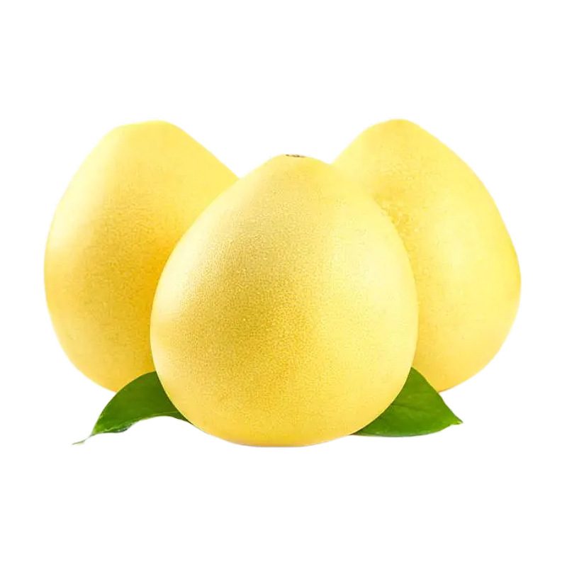 广东梅州新鲜蜜柚