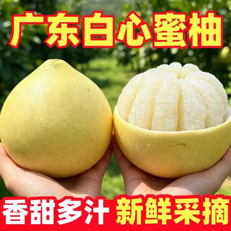 广东梅州白心蜜柚当季新鲜酸甜多汁水果