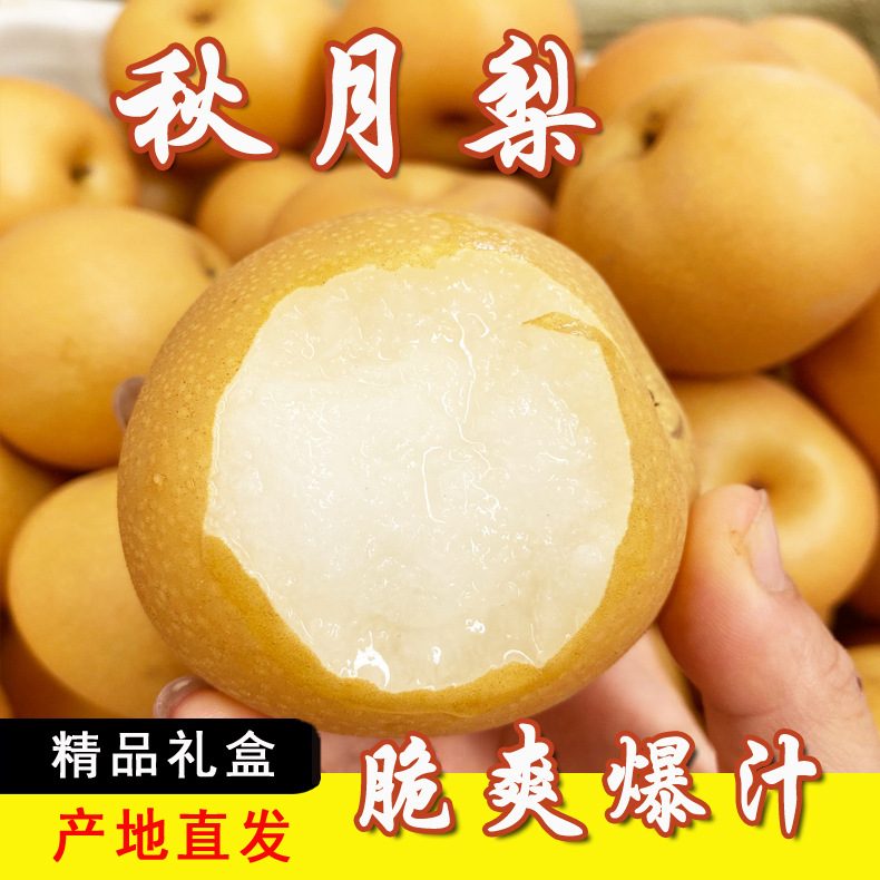 山东南水秋月梨新鲜脆甜水果礼盒