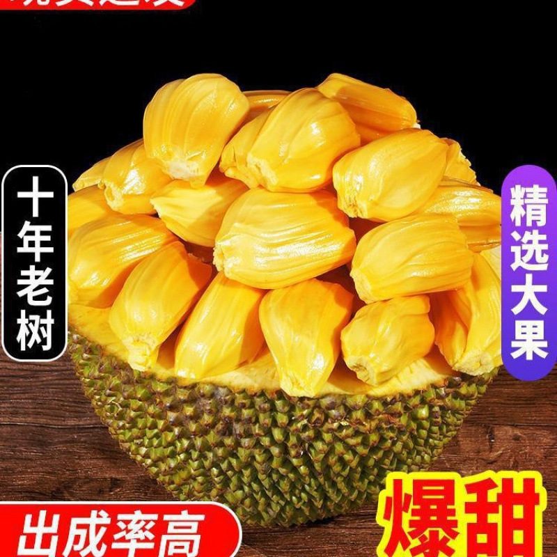 海南新鲜黄肉菠萝蜜整果当季水果