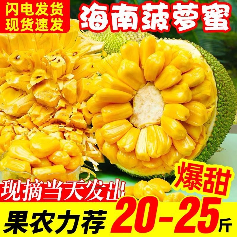 海南三亚红肉菠萝蜜新鲜水果 10-40斤整箱