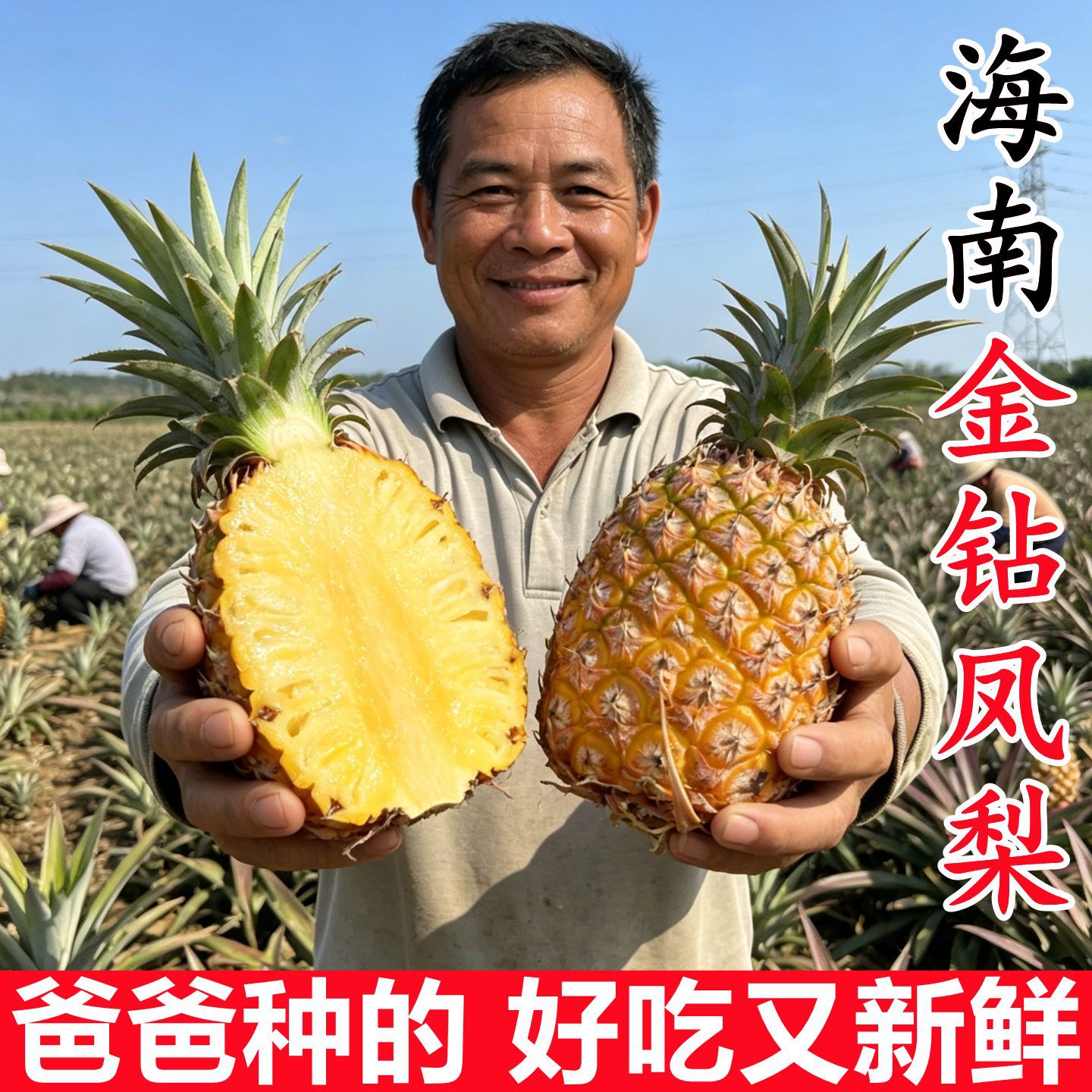 海南金钻凤梨新鲜水果 9斤装