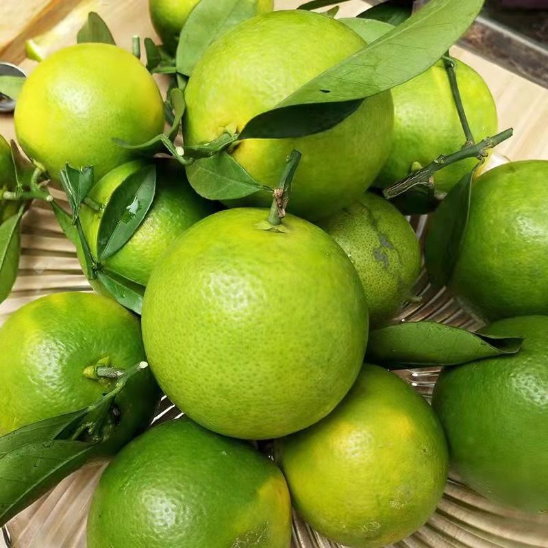 云南哀牢山冰糖橙,新鲜青皮甜橙,当季水果