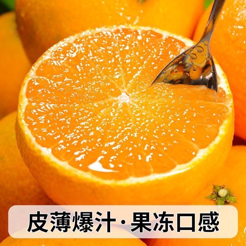 秭归爱媛28号红美人果冻橙