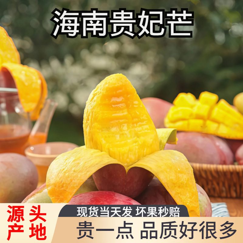 彩虹贵妃芒果 10斤装 新鲜当季树上熟红金龙辣椒甜心芒大果整箱