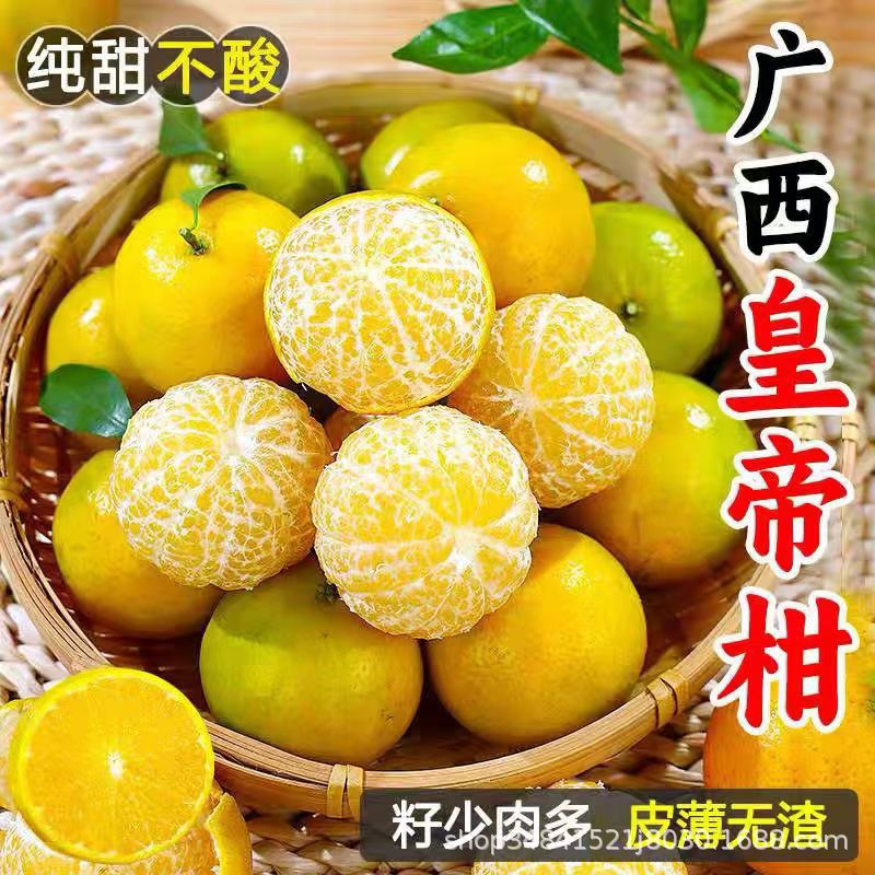 广西皇帝柑新鲜水果薄皮无渣纯甜橘子