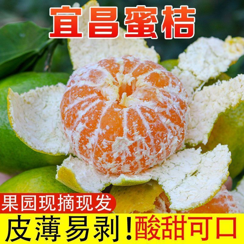 湖北蜜橘桔子早熟无籽新鲜柑橘孕妇水果整箱当季青黄皮