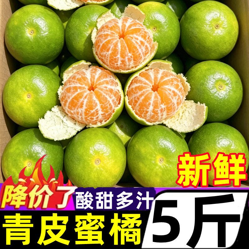 宜昌早熟无籽蜜橘9斤新鲜柑橘