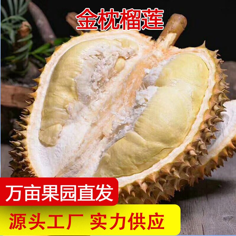 泰国金枕榴莲带壳鲜果