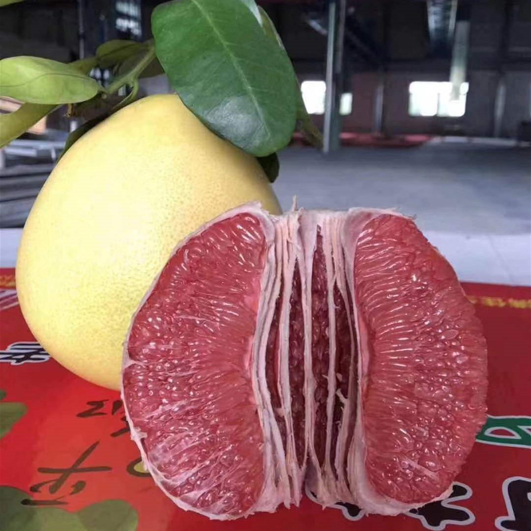 福建红心蜜柚，新鲜红肉柚子