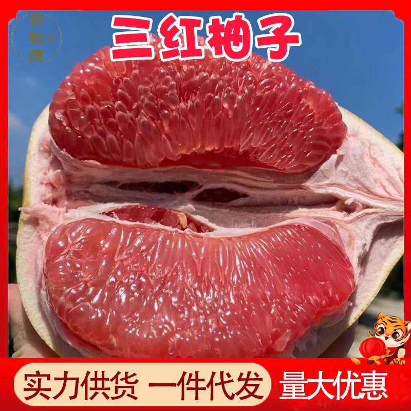 四川三红蜜柚 现摘当季红心柚子 9斤整箱