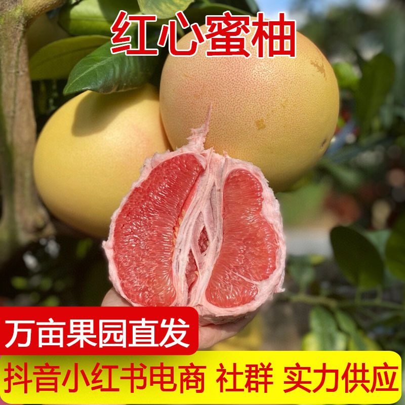 红心蜜柚与三红柚新鲜水果中秋礼盒