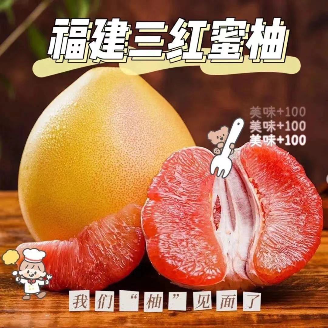 平和琯溪三红蜜柚｜薄皮大果新鲜柚子 9斤彩箱