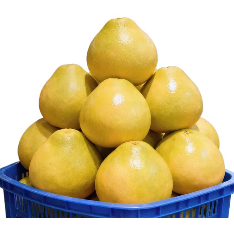 广东梅州当季蜜柚，新鲜柚子