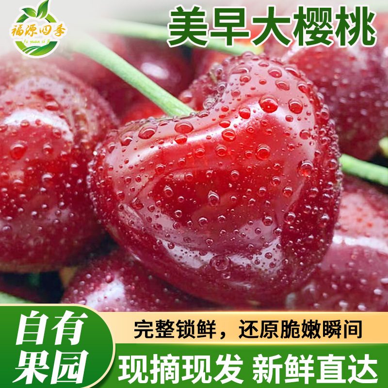 烟台美早大樱桃新鲜水果