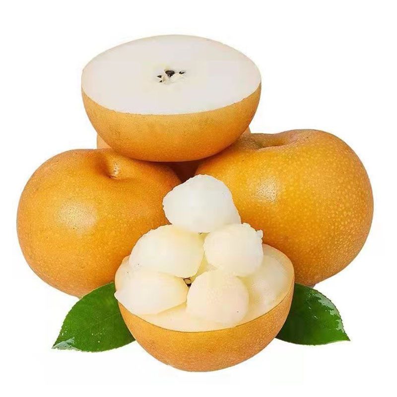 山东秋月梨（莱阳梨），整箱装，多汁脆甜新鲜水果