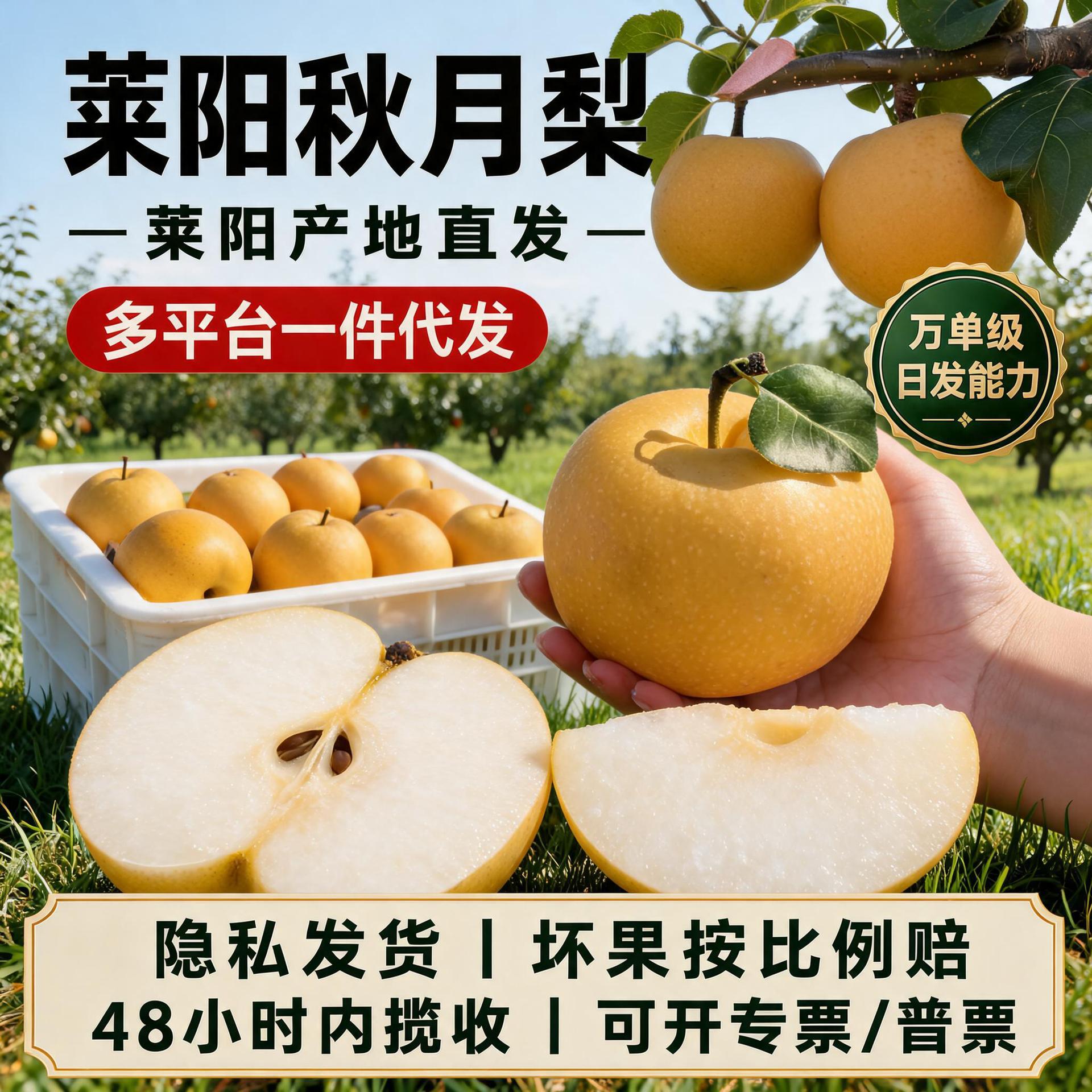 山东莱阳秋月梨新鲜水果冰糖蜜梨礼盒