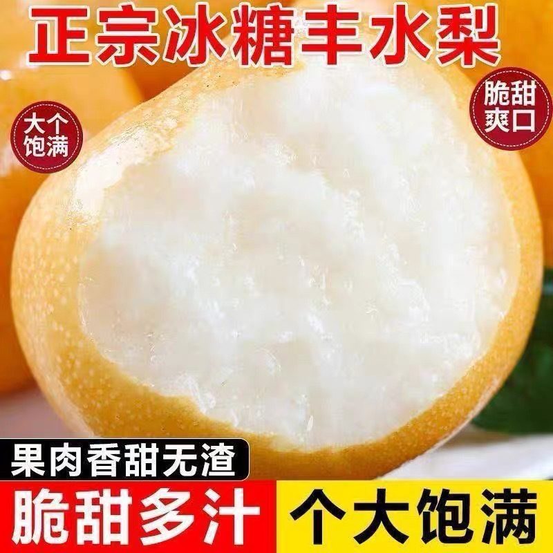莱阳丰水梨新鲜水果脆甜多汁整箱装