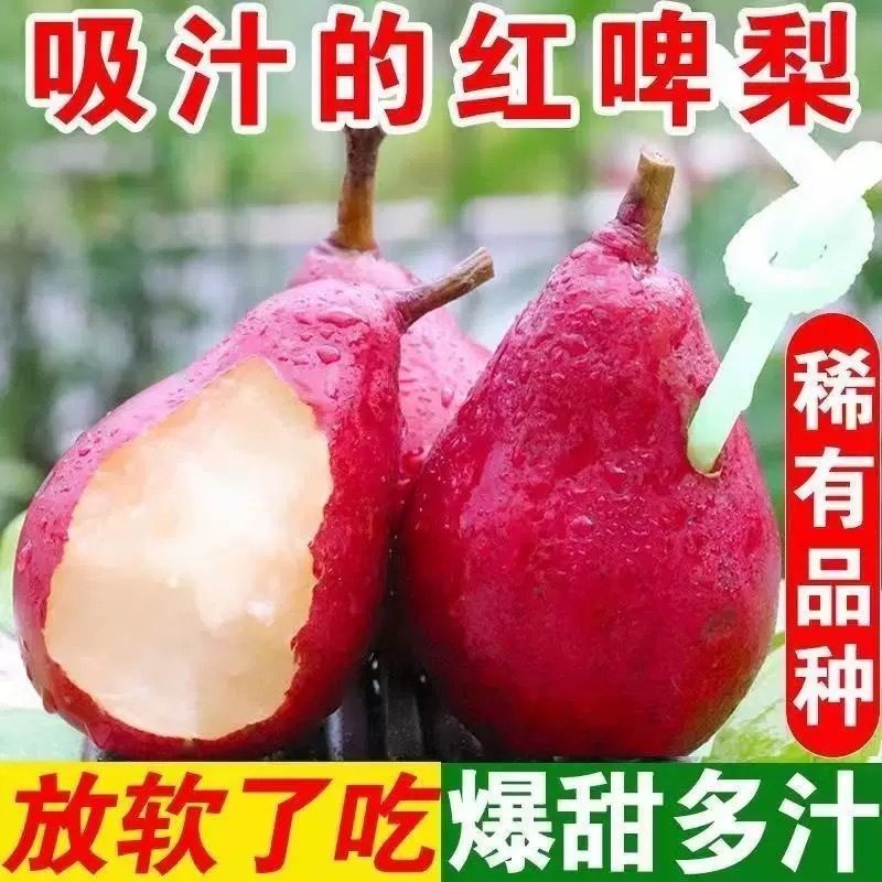 红啤梨新鲜水果当季现摘脆甜红皮梨整箱装