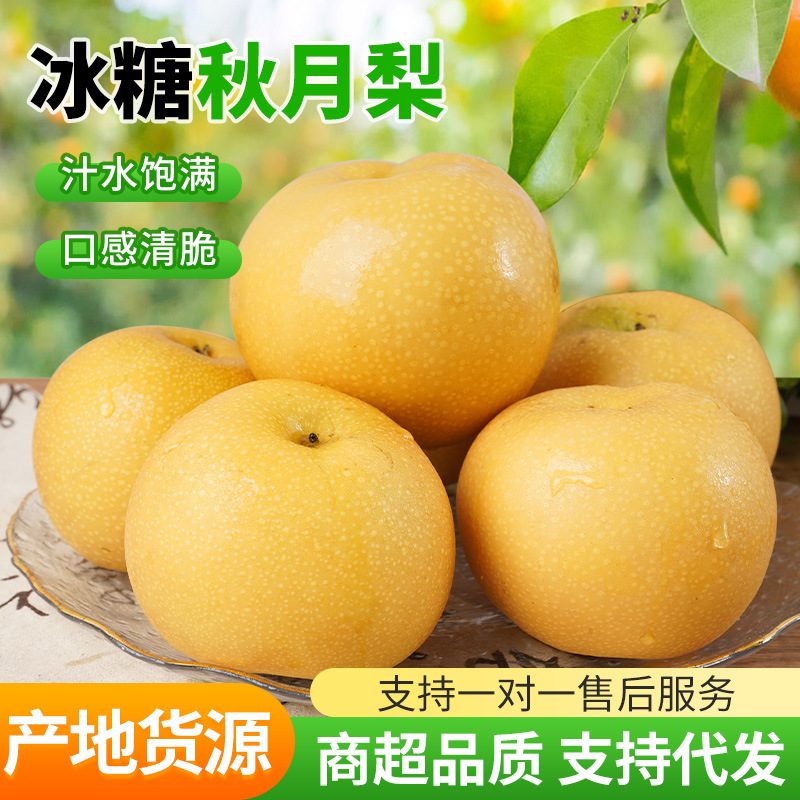 山东秋月梨礼盒装 5斤