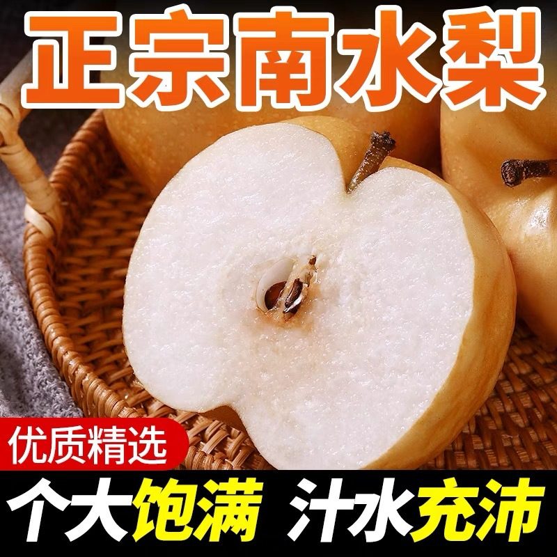 莱阳南水梨新鲜水果脆甜多汁净重4.5斤