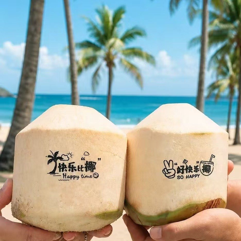 海南去皮新鲜椰青 文昌产地椰子