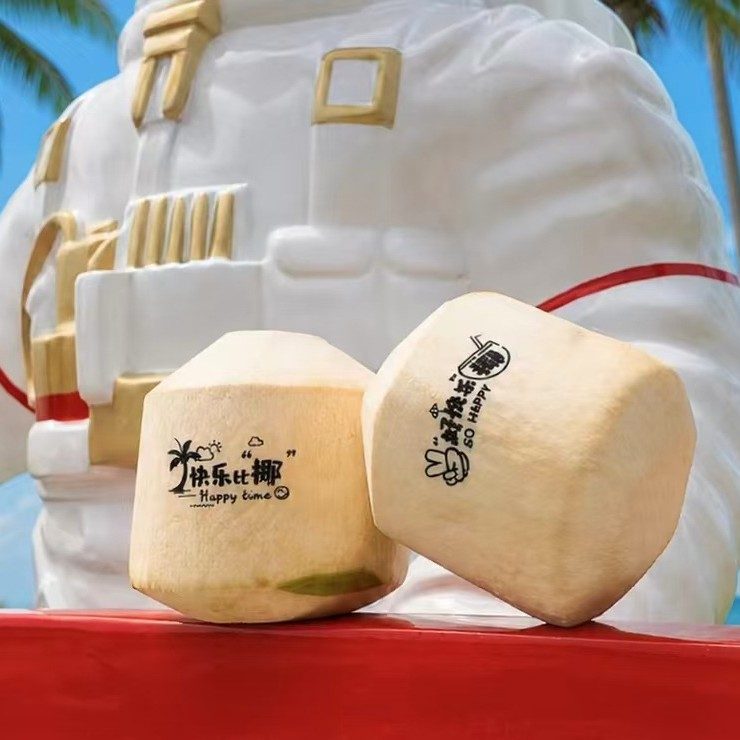 海南文昌去皮椰青鲜椰子9个装