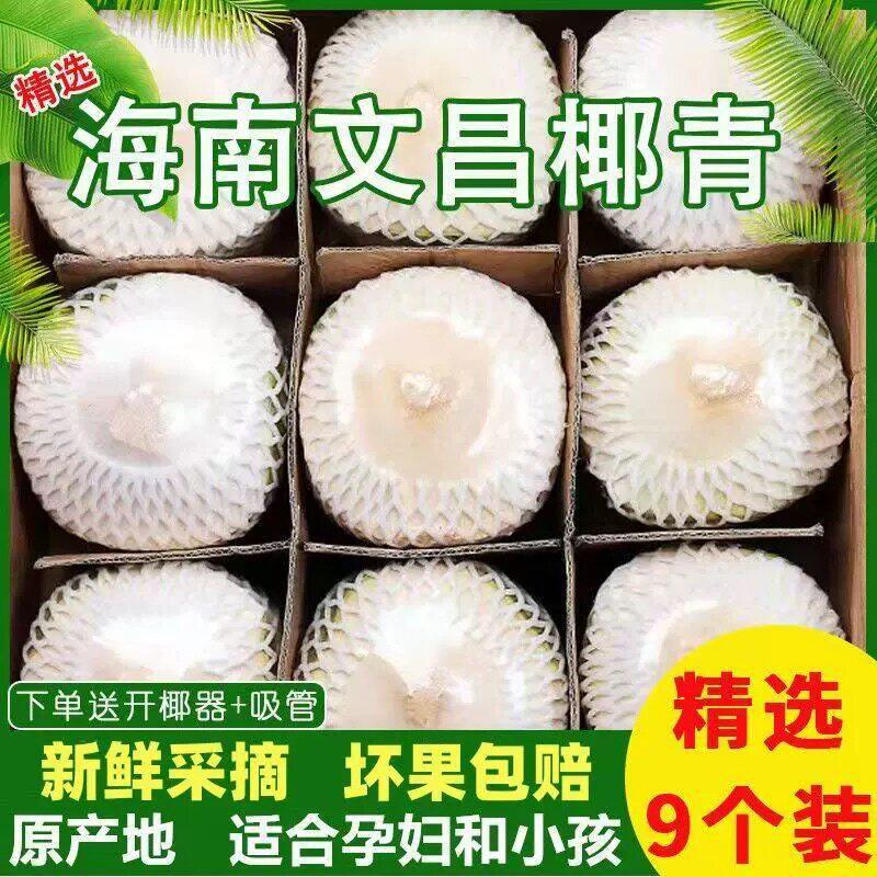 海南去皮椰青鲜椰子，9个装
