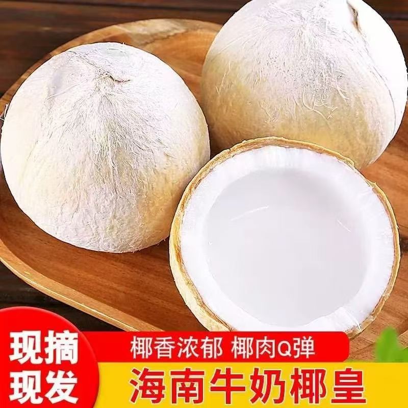 海南新鲜牛奶椰皇 1/2/3/4/6/8个