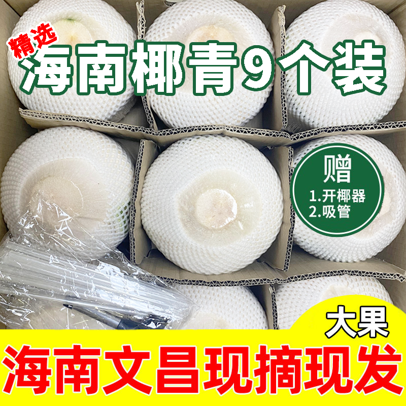 海南新鲜椰青｜去皮青椰、香水椰与金椰