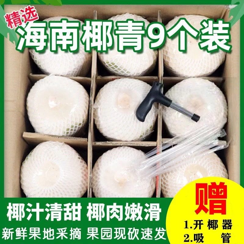海南新鲜椰青文昌椰子当季热带水果 2/4/6/9个装