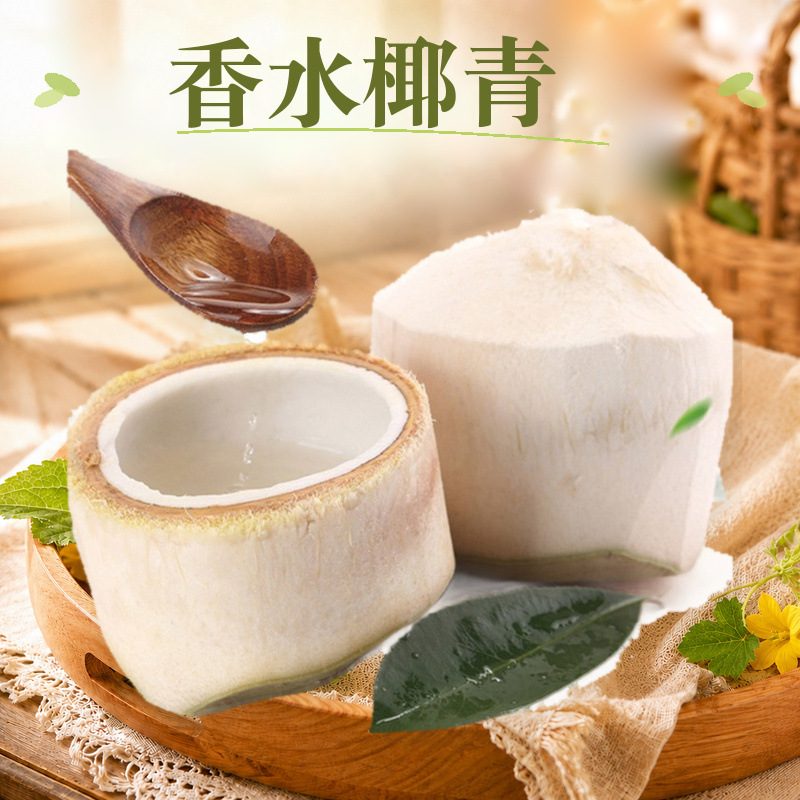 泰国香水椰青大果/特大果，全年新鲜椰子，附开椰器和吸管