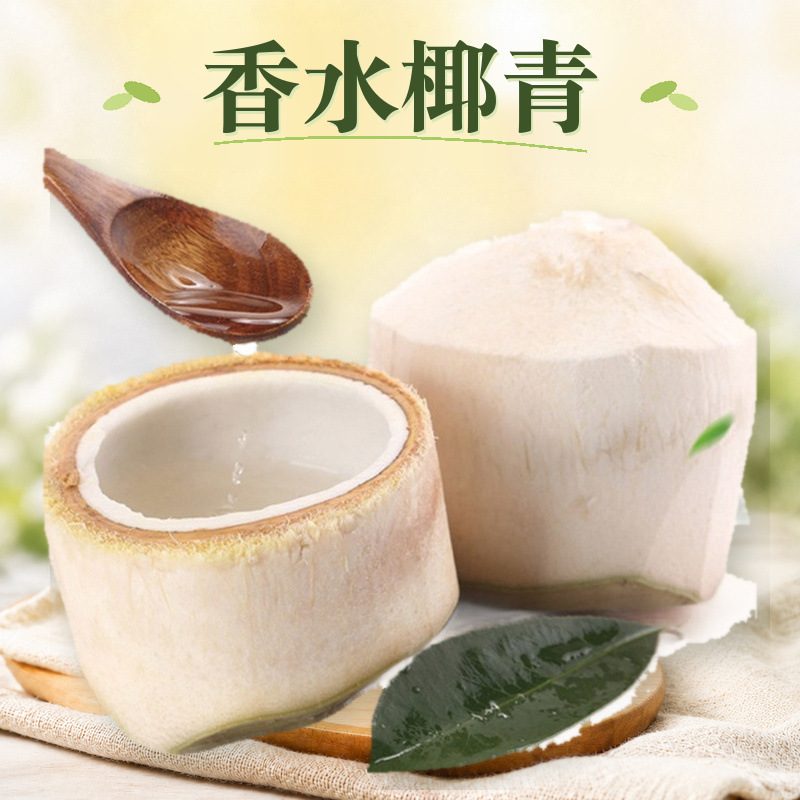 泰国香水椰青 2/4个大果特大果 新鲜椰子