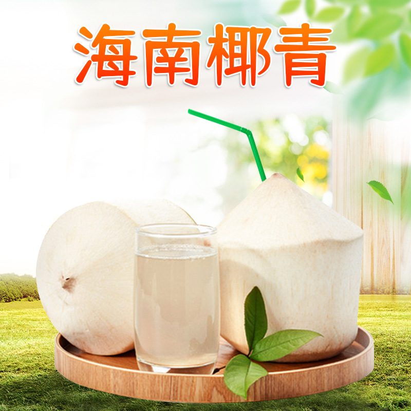 海南椰青鲜椰子 2/4/6/9个装大果当季椰汁水果