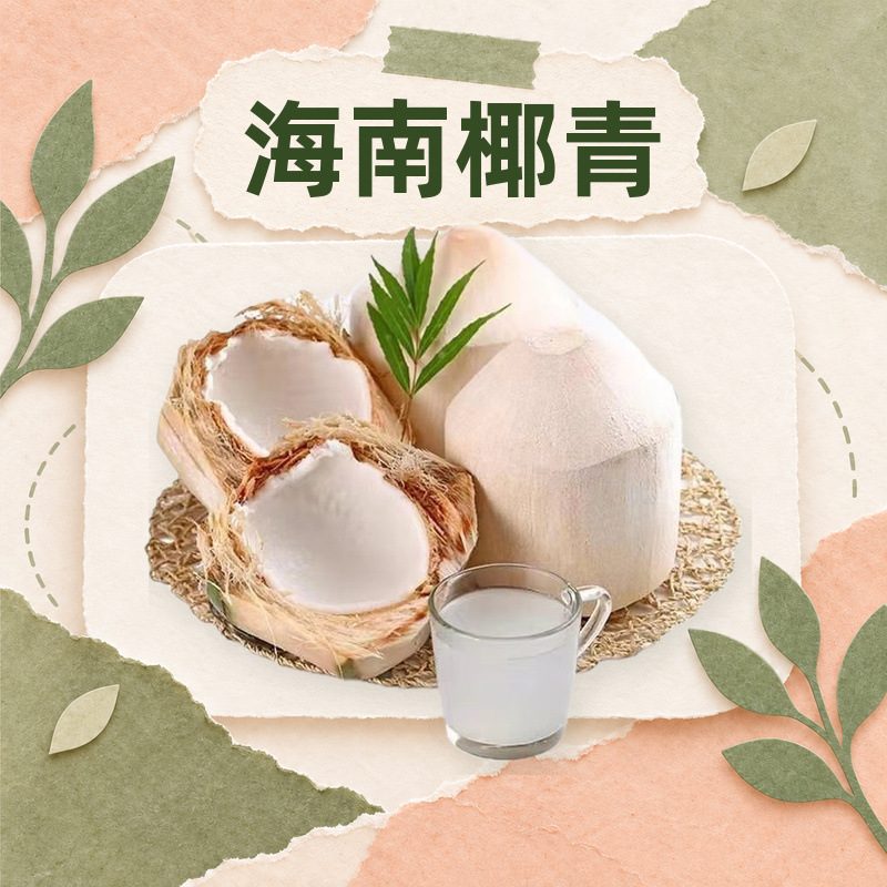 海南椰青新鲜椰子