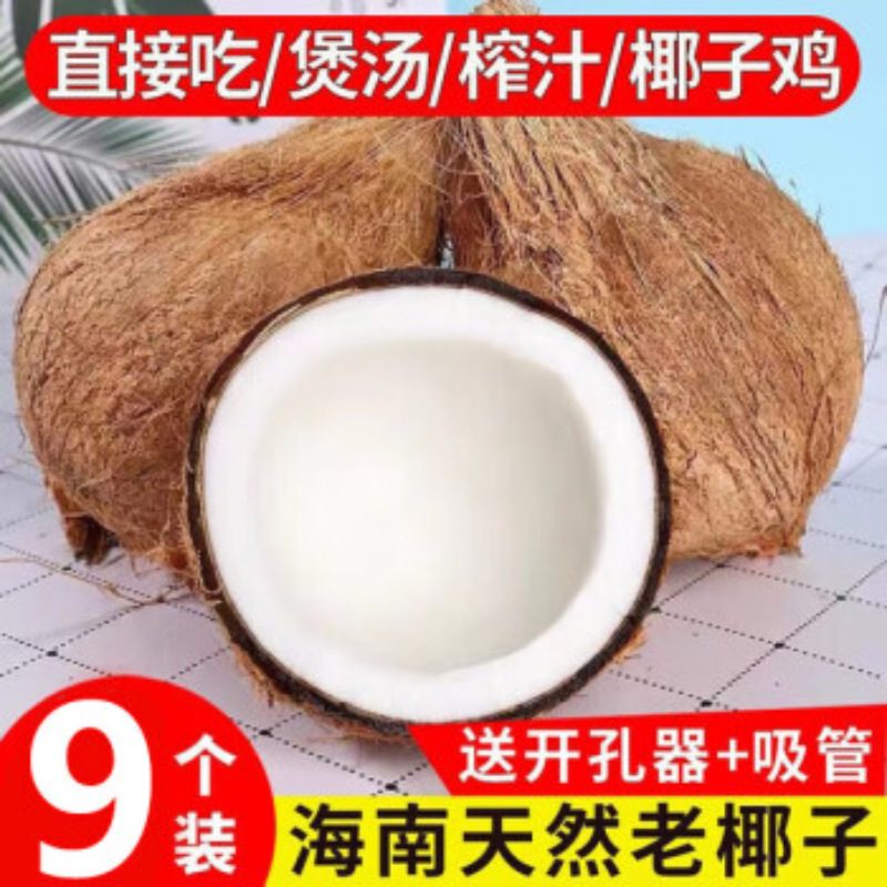 海南当季新鲜椰子: 老椰子/椰青/毛椰子, 孕妇水果, 煲汤榨汁