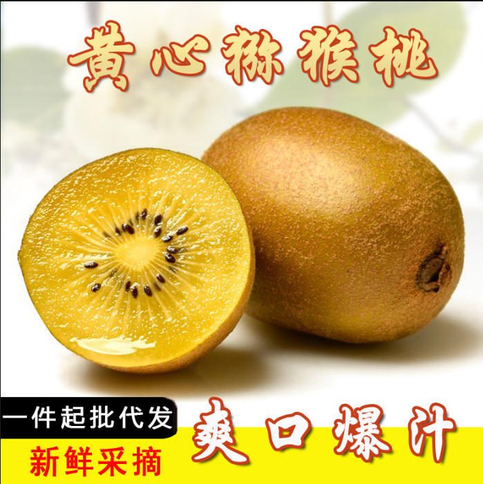 新鲜黄心猕猴桃礼盒装