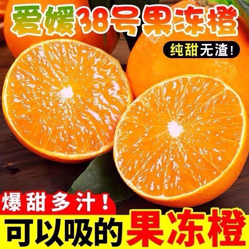 四川眉山爱媛38号果冻橙薄皮多汁