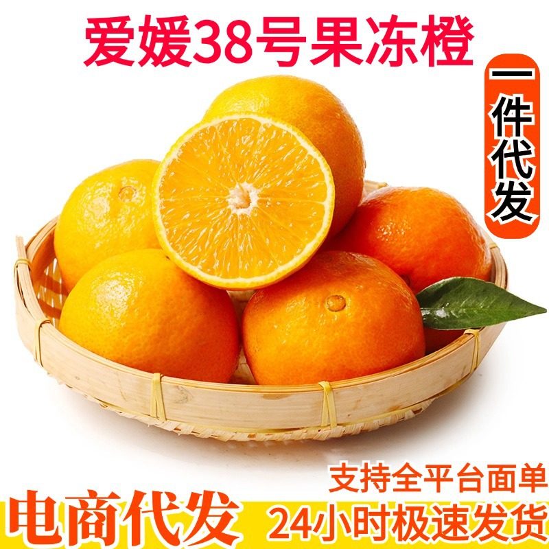 四川爱媛38号果冻橙，非脐橙