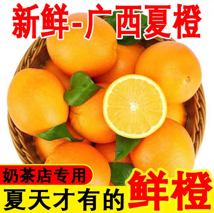 广西新鲜夏橙橙子,榨汁奶茶店果汁店商用脐橙